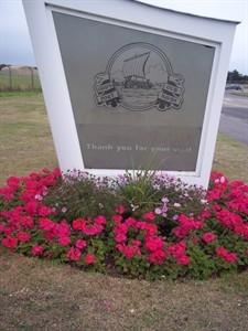 Floral Display