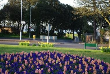 Floral Display