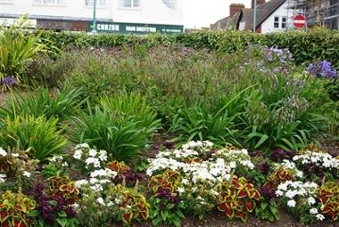 Floral Display