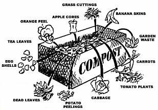 Home Composting