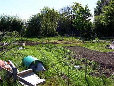 Allotment