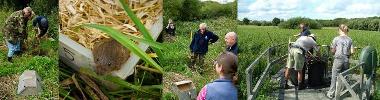 Alver Valley Country Park Getting Involved Banner