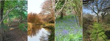 Alver Valley Country Park Home Banner