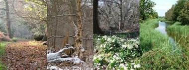 Alver Valley Country Park Your Visit banner