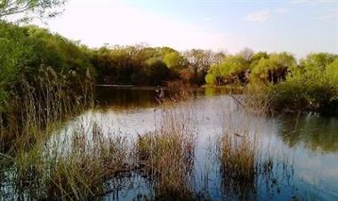 Angling in the Alver Valley