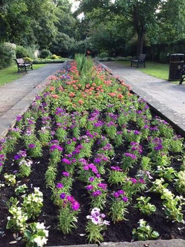 Stanley Park Floral Displays