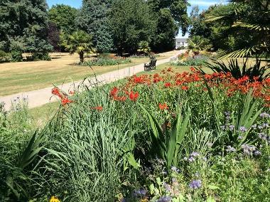 Stanley Park Perennials