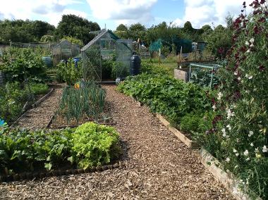 In Bloom Best Allotment 2 2023