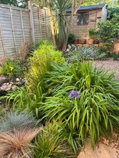 In Bloom Best Small Back Garden 2023